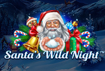 Santa's Wild Night